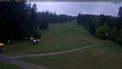 Slalomka