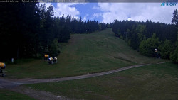 Slalomka