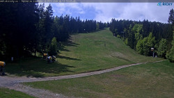 Slalomka