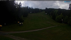 Slalomka