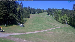 Slalomka