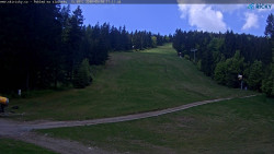 Slalomka