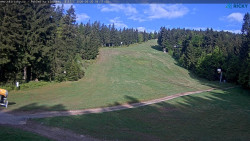 Slalomka