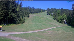 Slalomka