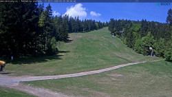 Slalomka