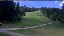 Slalomka