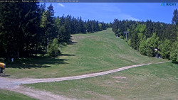 Slalomka