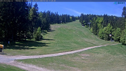 Slalomka