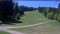 Slalomka
