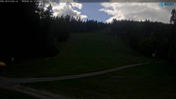 Slalomka