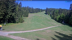 Slalomka