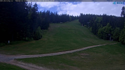 Slalomka