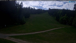 Slalomka