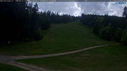 Slalomka
