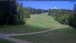 Slalomka