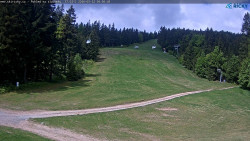 Slalomka