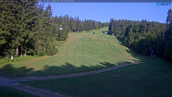 Slalomka