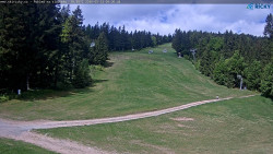 Slalomka