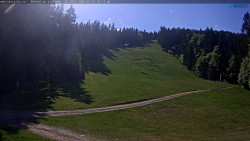 Slalomka