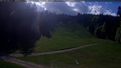 Slalomka