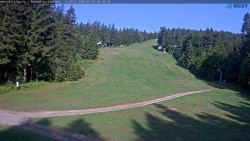 Slalomka