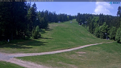 Slalomka