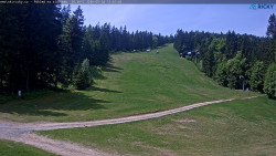 Slalomka
