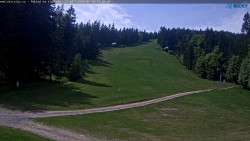 Slalomka