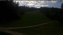 Slalomka