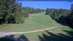 Slalomka