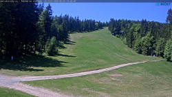 Slalomka