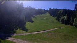 Slalomka