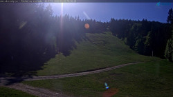 Slalomka
