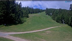 Slalomka