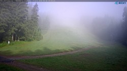 Slalomka