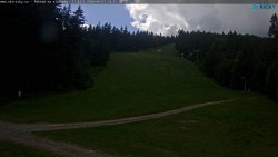 Slalomka