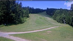 Slalomka