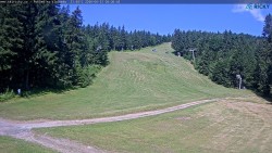 Slalomka