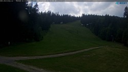 Slalomka