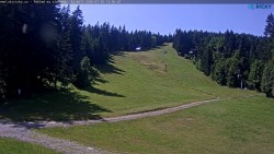 Slalomka