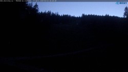 Slalomka
