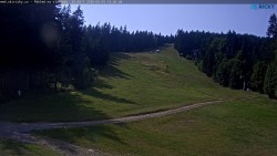 Slalomka
