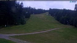Slalomka
