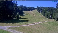 Slalomka