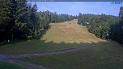 Slalomka