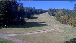 Slalomka