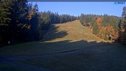 Slalomka