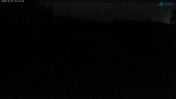 Slalomka