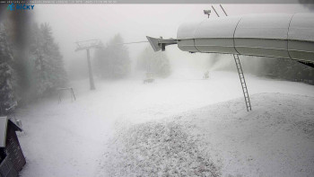 Snímek    19.11.2025 v 09:00