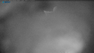 Skicentrum Říčky - Výstupní stanice Zakletý - 17.12.2025 v 02:45